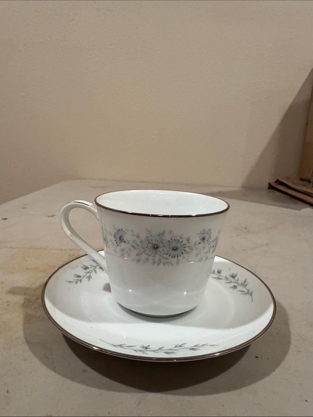 Noritake White Cup & Saucer with Gray Floral Band and Silver Trim